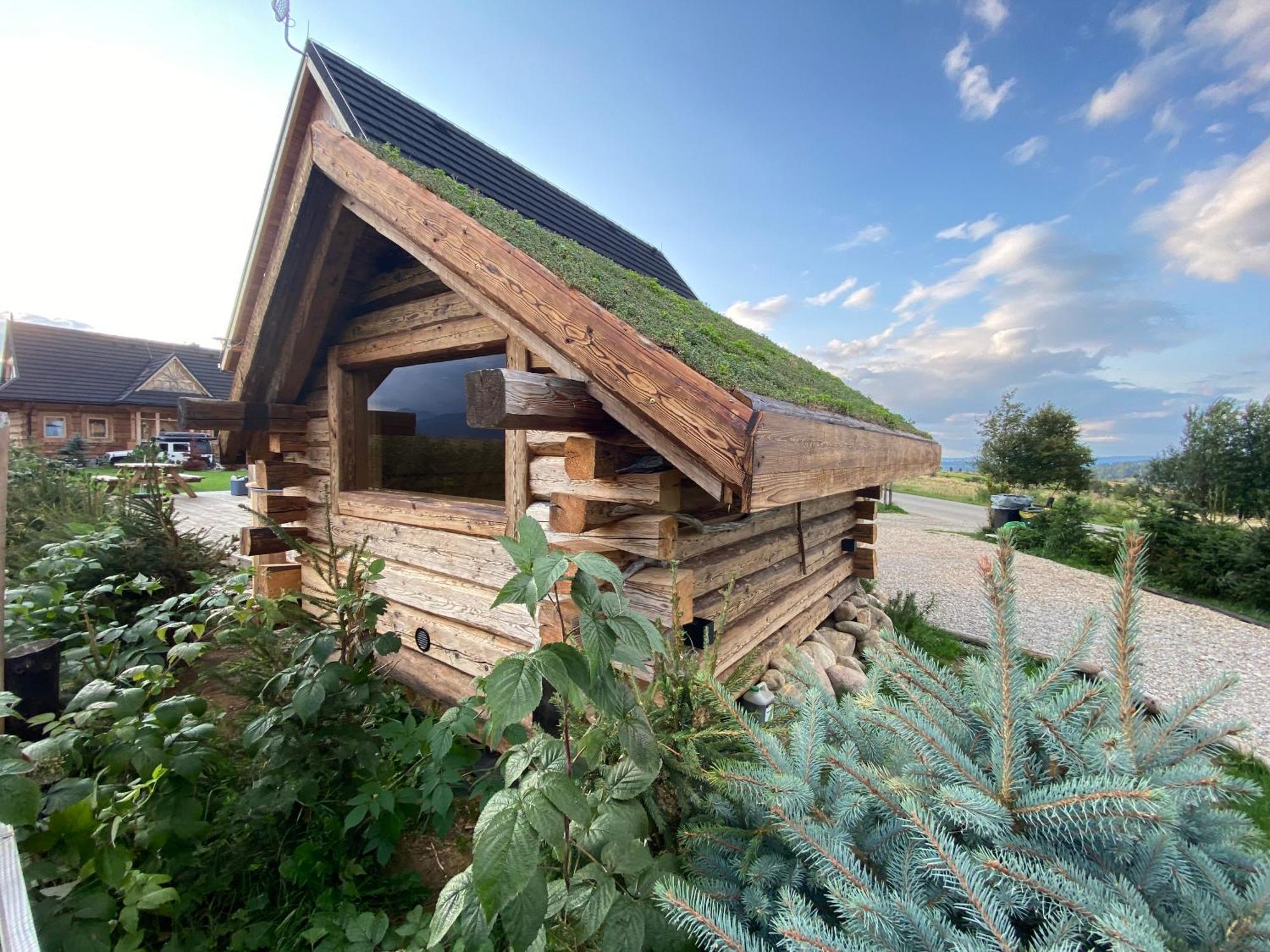 Sopa Zakopane Villa Ngoại thất bức ảnh